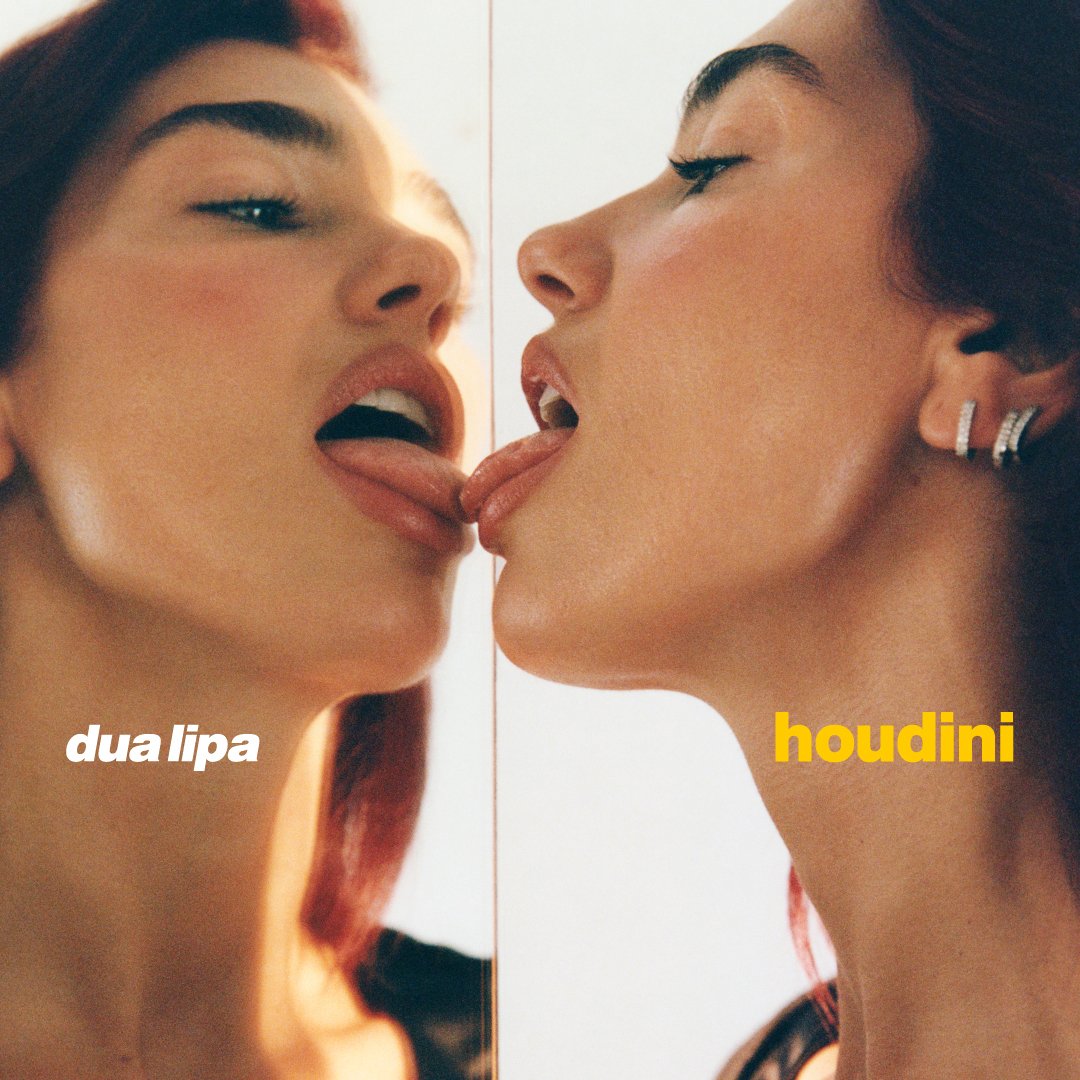 dua lipa houdini