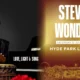 Stevie Wonder - bst hyde park