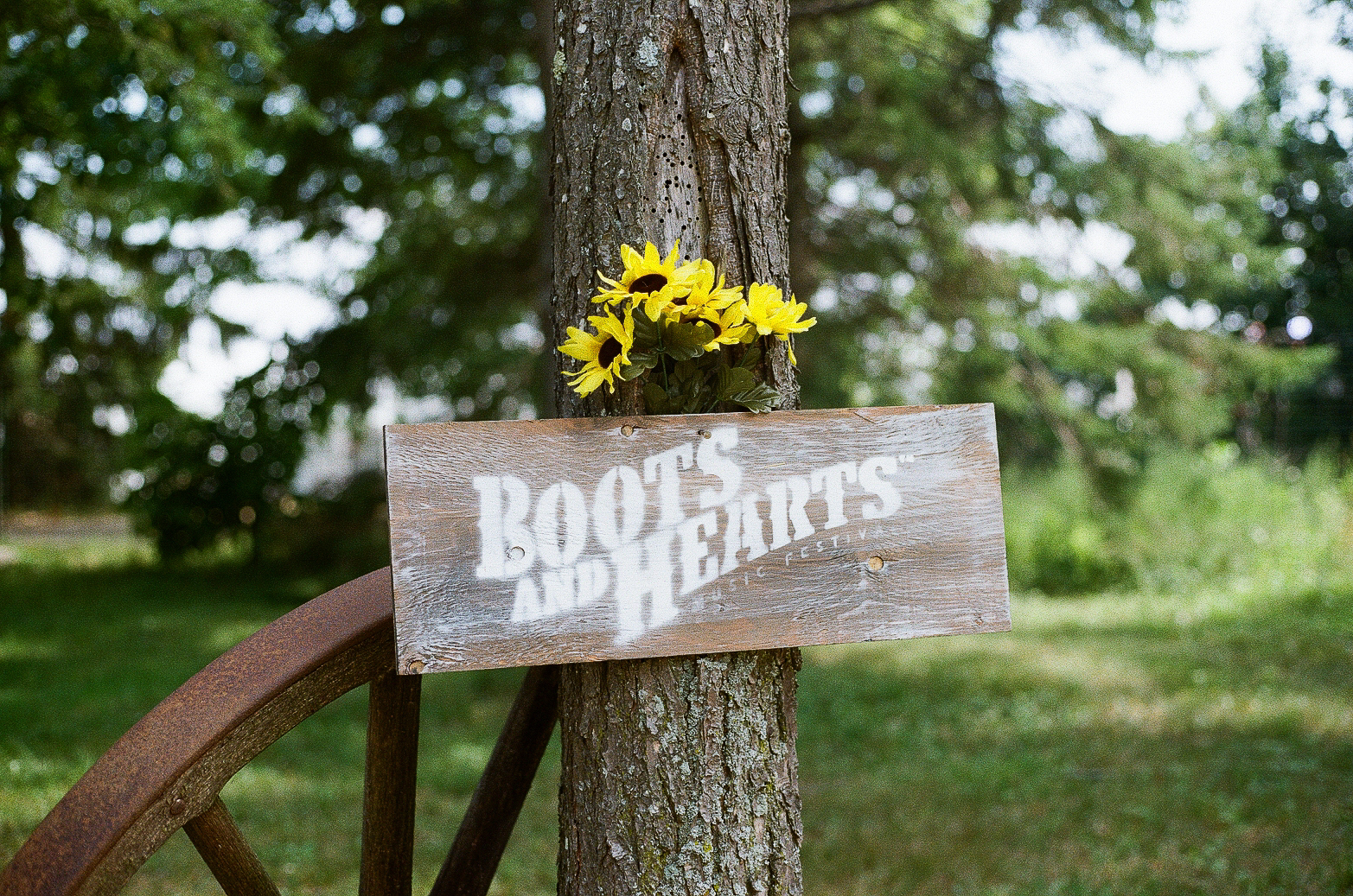 B&H 2025 (Kodak Gold 200)