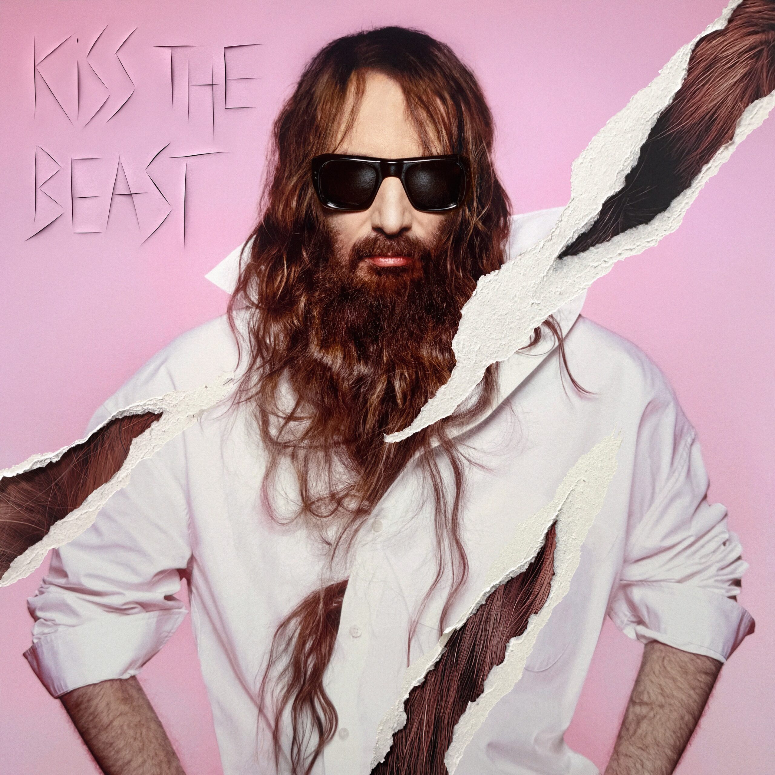 Sébastien Tellier_Kiss The Beast