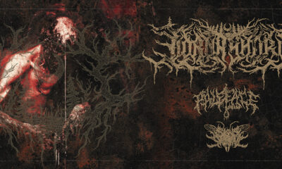 LornaShore_2026_National