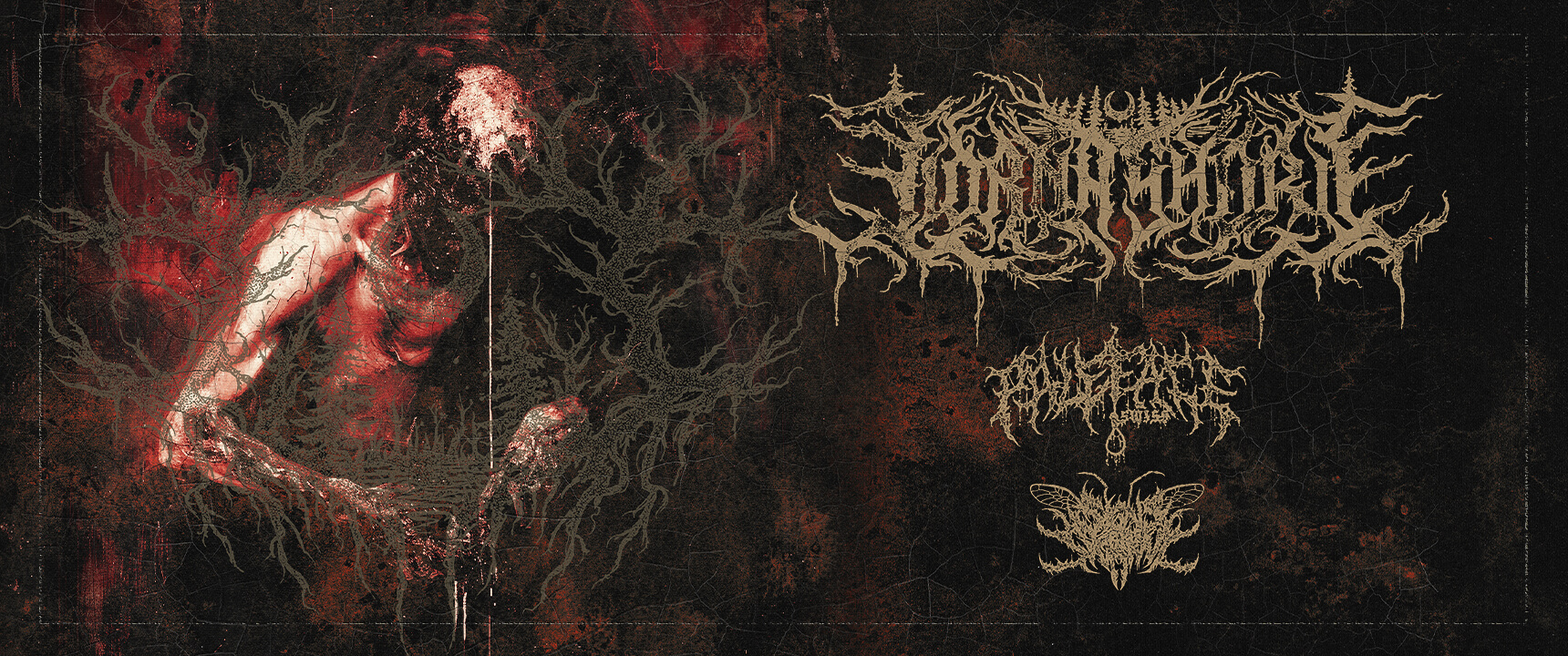 LornaShore_2026_National