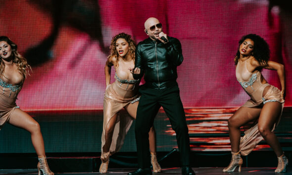 Pitbull-MountainView-Starr-7