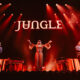 Jungle
