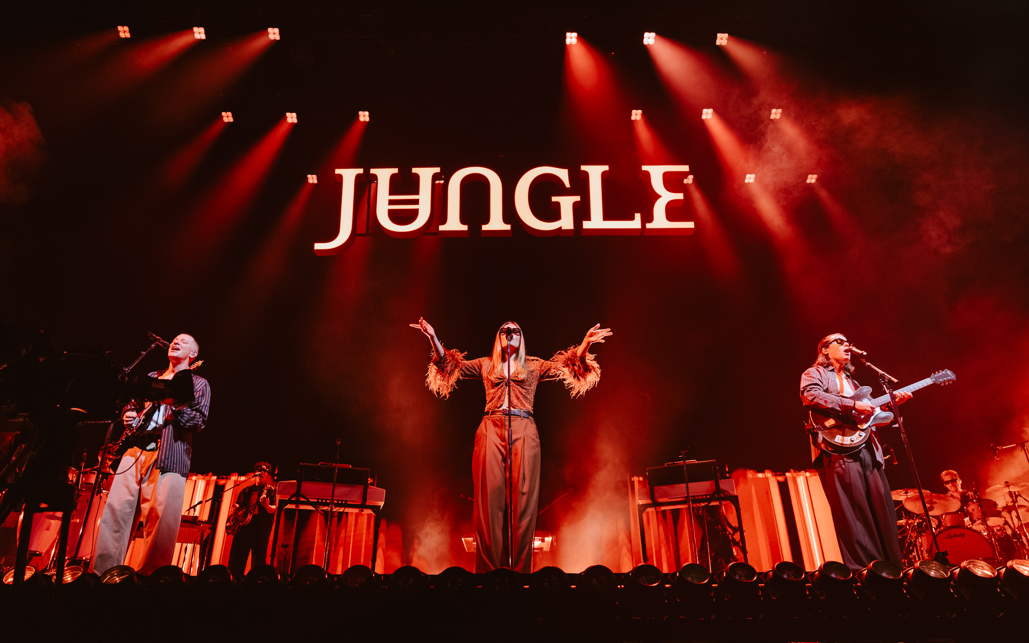 Jungle
